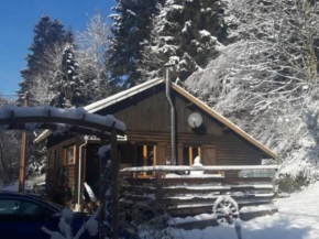 Chalet cosy proche de Gérardmer et Colmar - Nature, WIFI, 2 chambres, terrasse, garage - FR-1-589-306 Plainfaing